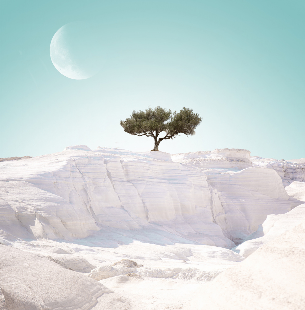 Alien Island. part 4 von Eva Frey