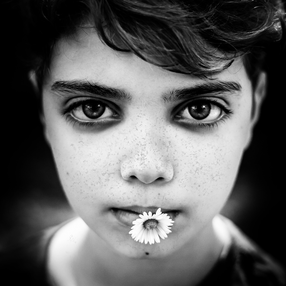 This love von Evelina Petkova