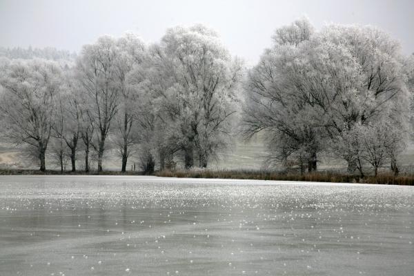 Wintersee von Evelyn Taubert