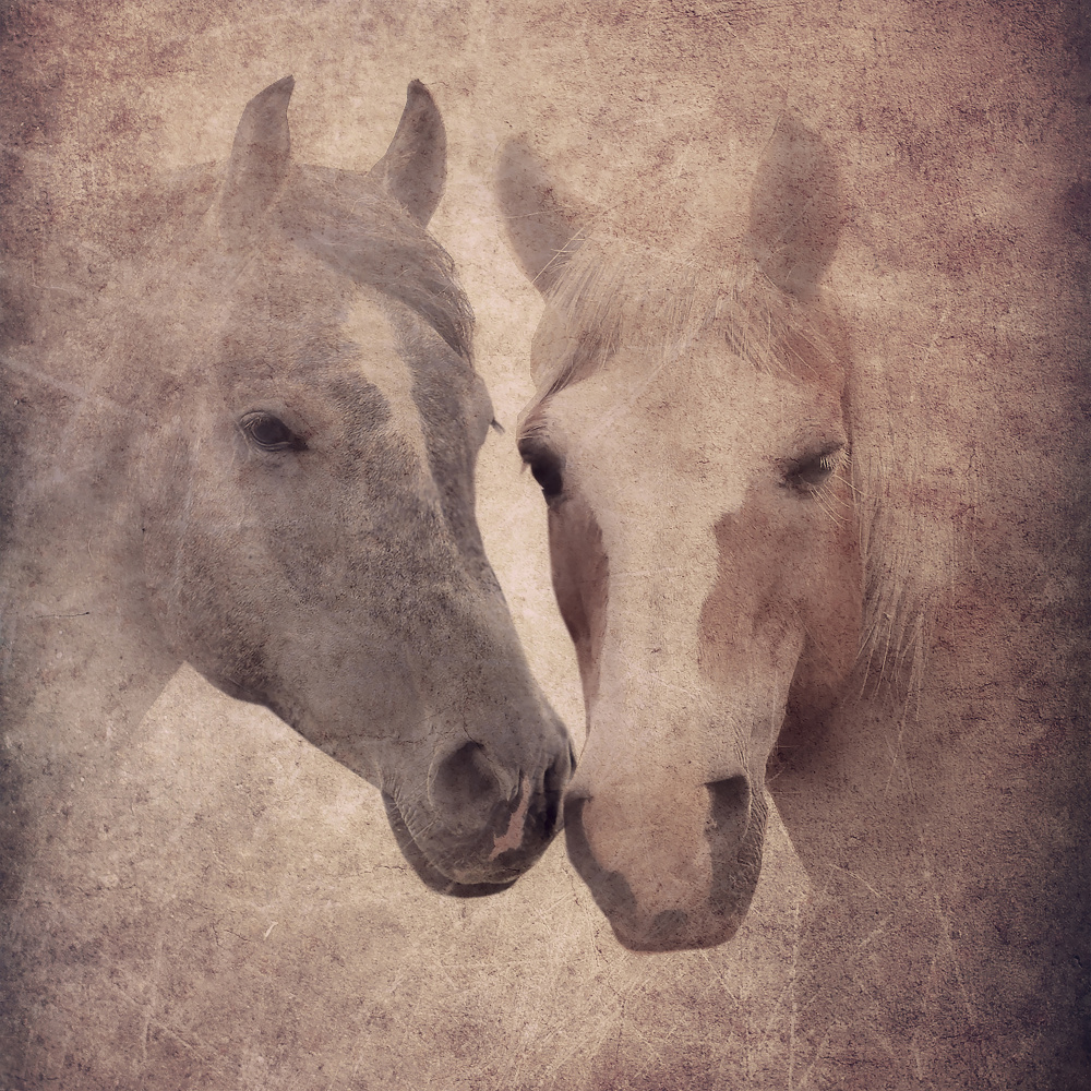 Photo for memory von Evgenii Novichikhin