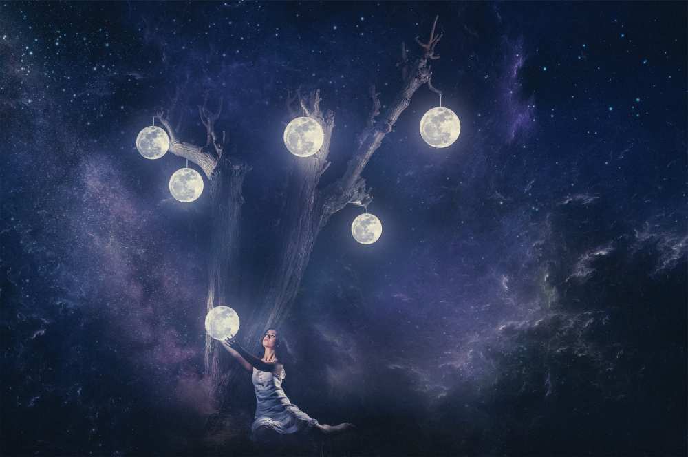 Planet holder von Evgeny Loza