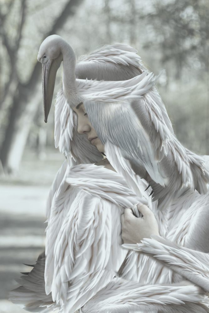 Metamorfoza von Ewa Całkosińska-Kajzer