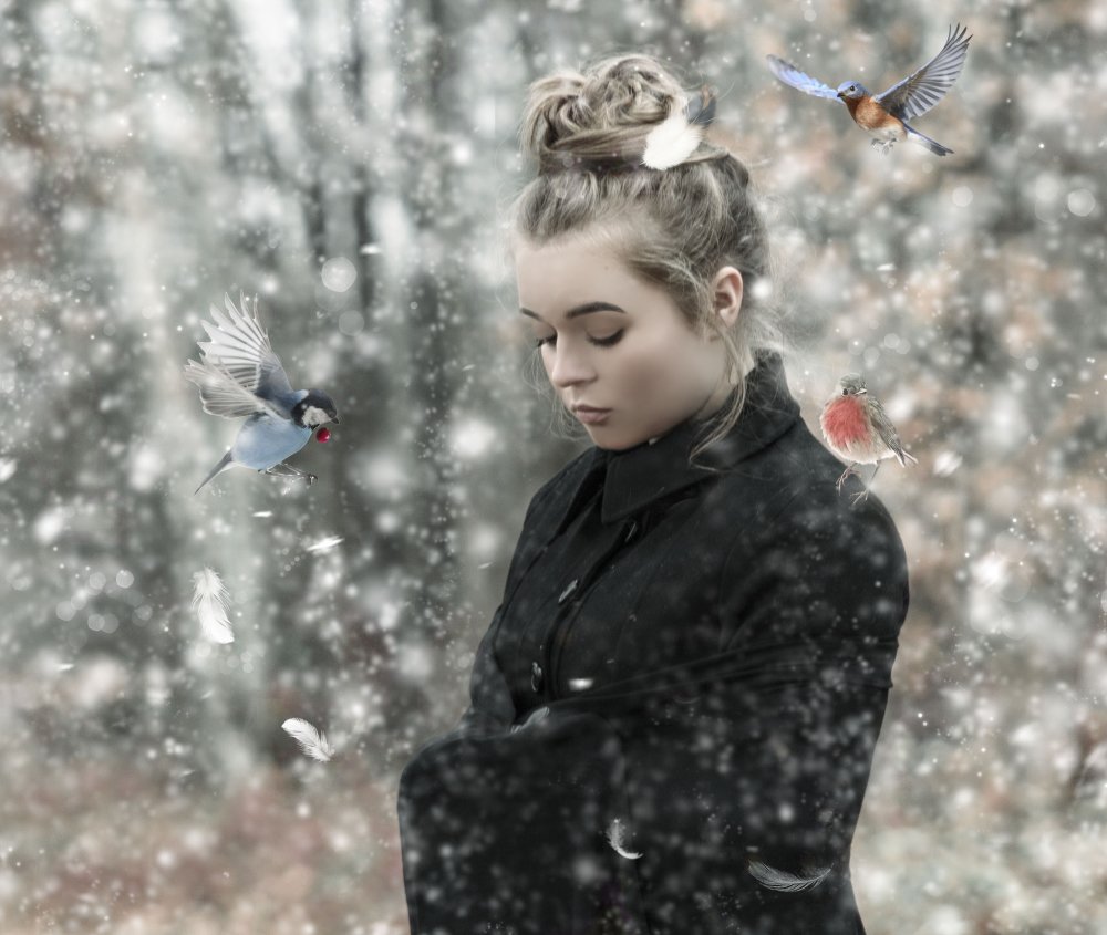 Zimowa magia von Ewa Całkosińska-Kajzer