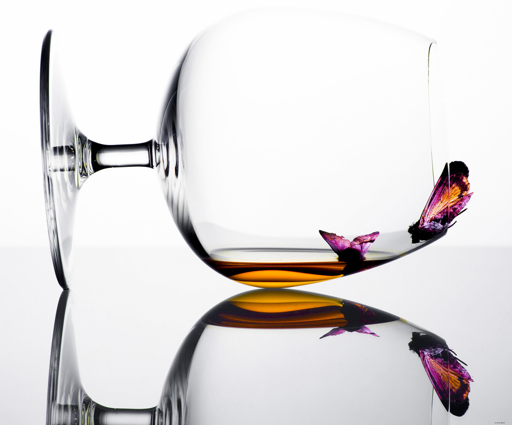 DRUNKEN BUTTERFLIES von Eyup Seker