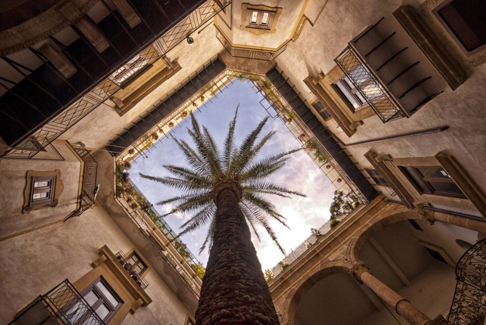 toward the sky von Ezio Scaduto