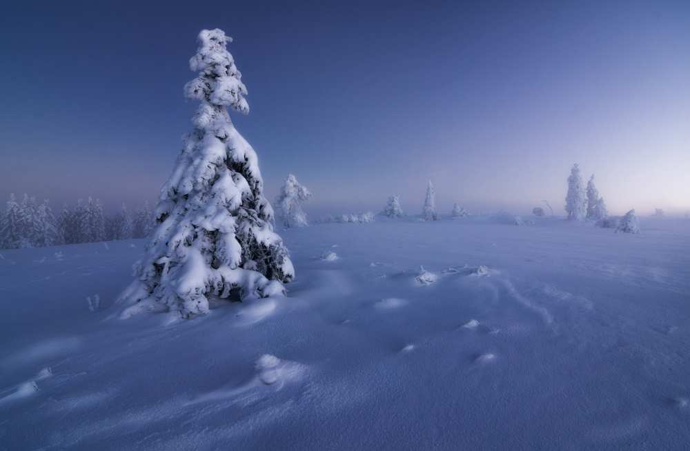 winter is back von Fabian Müller