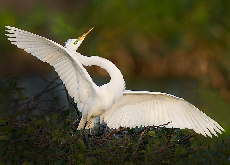 My life is full of drama!!! von Fabiola Forns