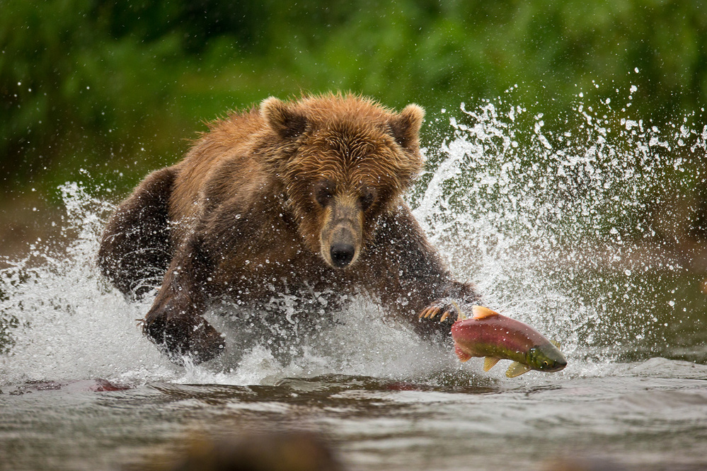 Last jump von Fabrizio Moglia