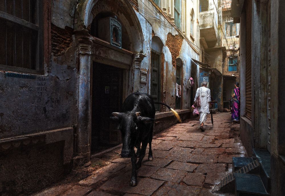 Tag in Varanasi von Fadhel Almutaghawi