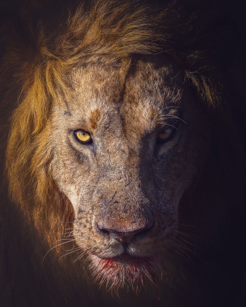 Bleeding Food von Faisal ALnomas