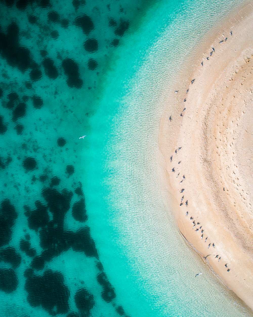 Hot Summer von Faisal ALnomas