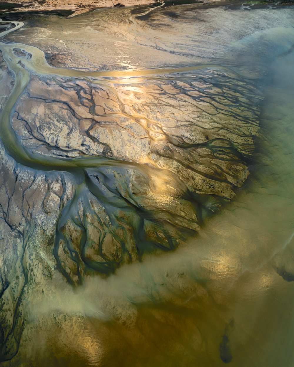 The Earth Veins von Faisal ALnomas