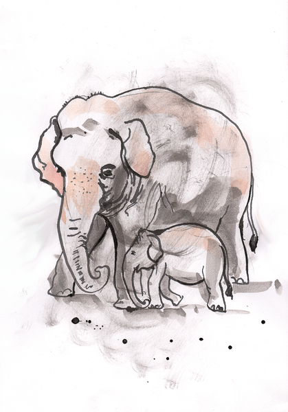 Elephant and Calf von Faisal Khouja