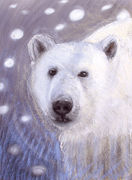 Polar Bear von Faisal Khouja