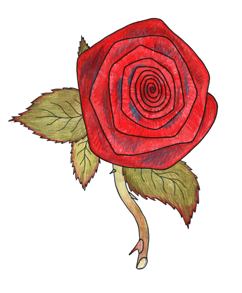Rose 1 von Faisal Khouja