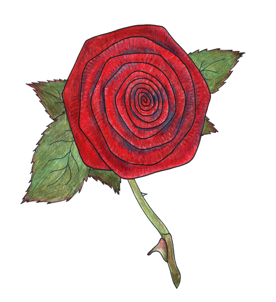 Rose 6 von Faisal Khouja