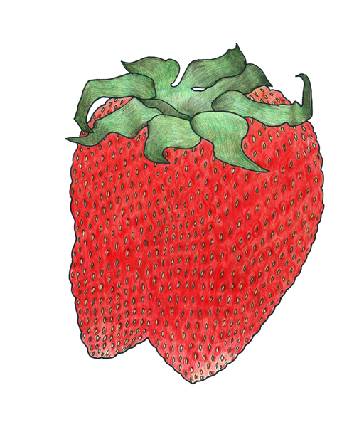 Strawberry 2 von Faisal Khouja