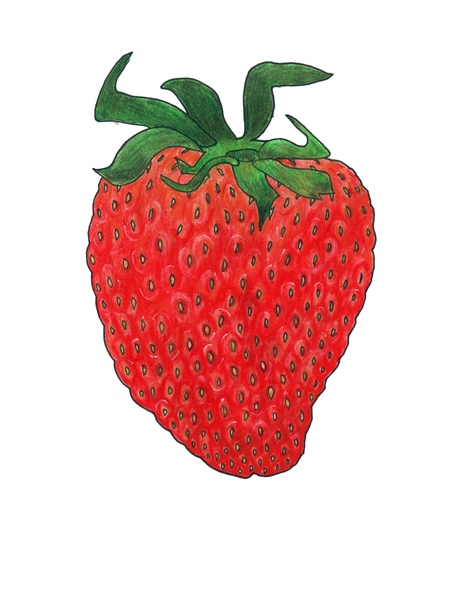 Strawberry 3 von Faisal Khouja