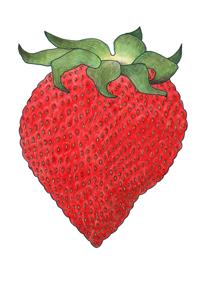 Strawberry 5 von Faisal Khouja