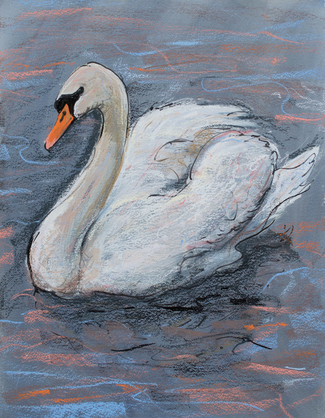 Swan on Lake von Faisal Khouja