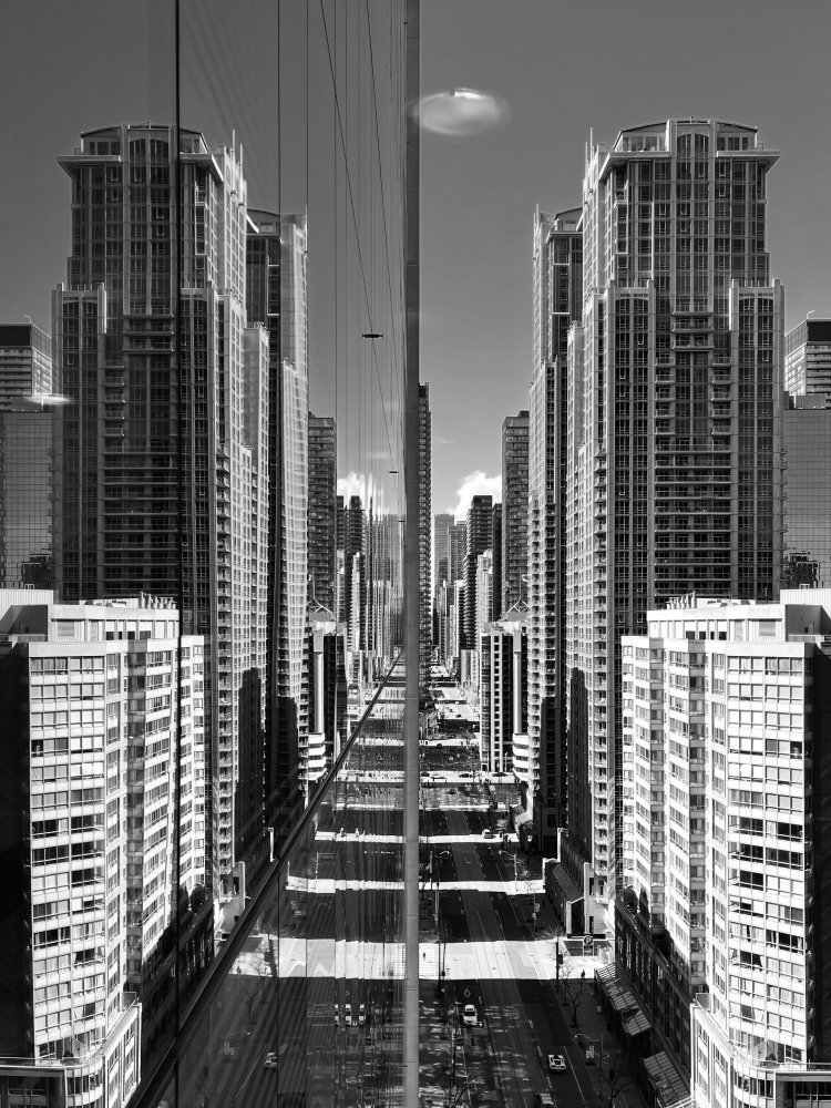 Mirror or not von Fan Lin