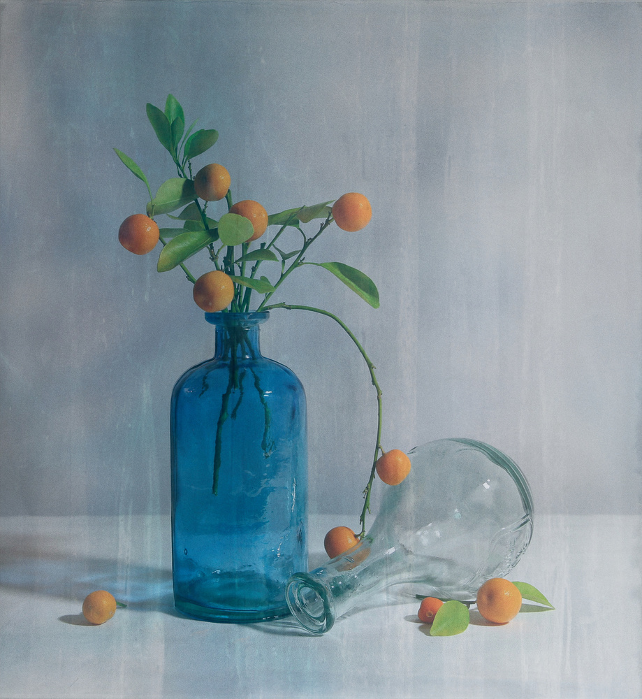 Fresh Kumquat II von Fangping zhou