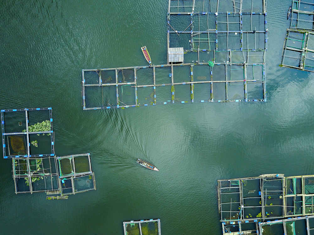 Sailing von Farid Yuwono