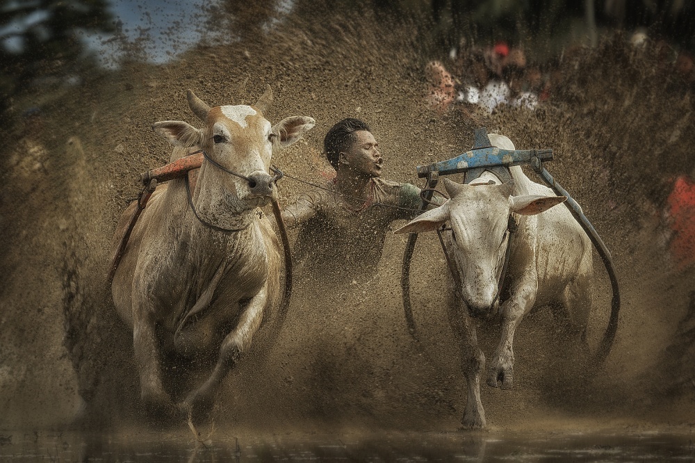 Extra Ordinary von Fauzan Maududdin