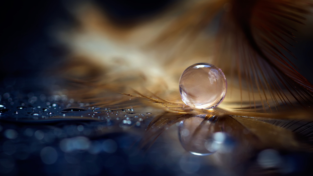 The Philoshopy of Light von Fauzan Maududdin