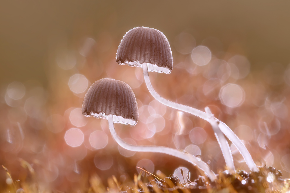 You and I After The Rain von Fauzan Maududdin