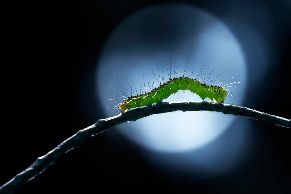 Curving Night Walk von Fauzan Maududdin