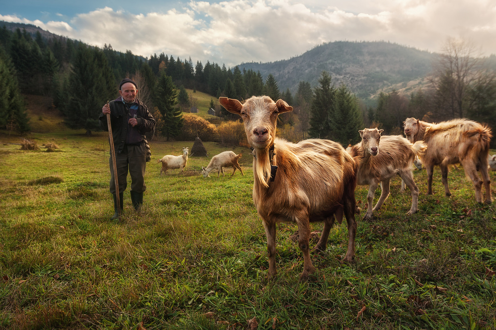 A Day in the Carpathian Mountains von Felipe Souto