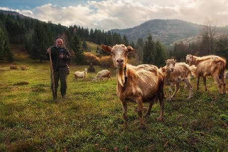 A Day in the Carpathian Mountains