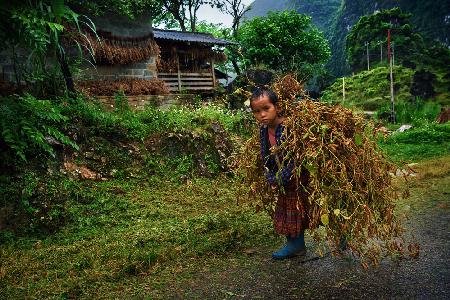 Childhood in Ha Giang