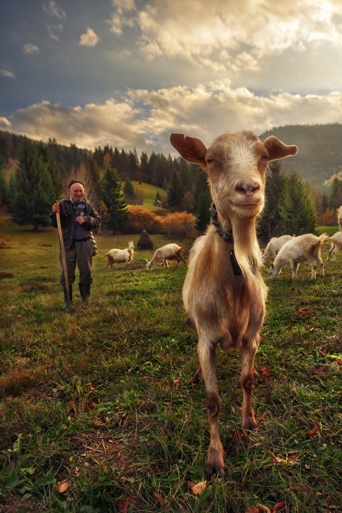 Mateo 7:5-20 von Felipe Souto