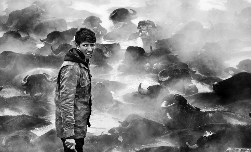 Herdsman von Ferah Budak