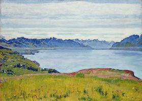 Landschaft am Genfersee