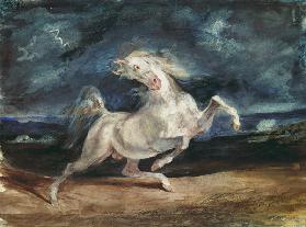 Pferd vom Blitz erschreckt