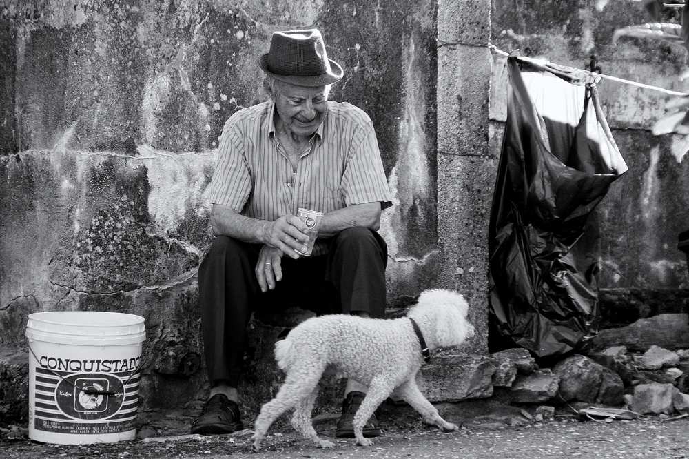 The conqueror von Fernando Alves