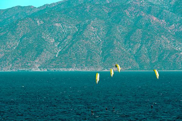 \\\\ von Fernando Blanco Armendariz