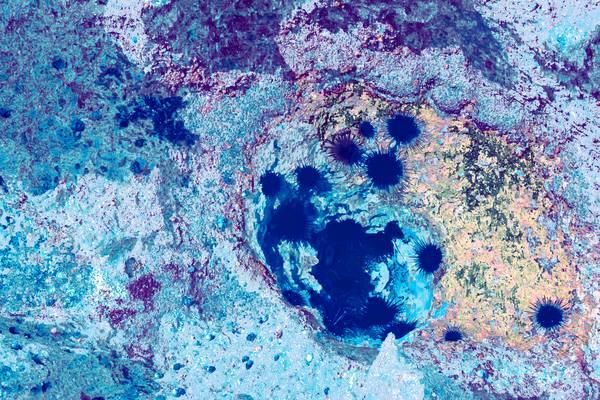 Abstract light blue and orange. Nature patterns von Fernando Blanco Armendariz