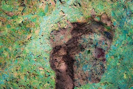 Abstract earthy natural design