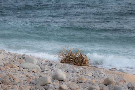 Pure virgin. Soft and wild