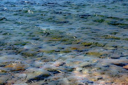 The sea, greens, ochres, blues sharing, enjoying