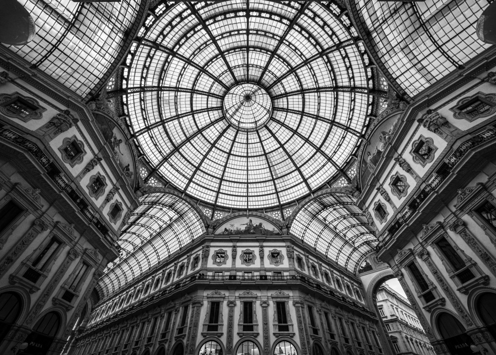 Close Encounters von Fernando Silveira