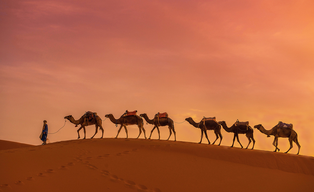 Life in the grass von Fethi Turgut