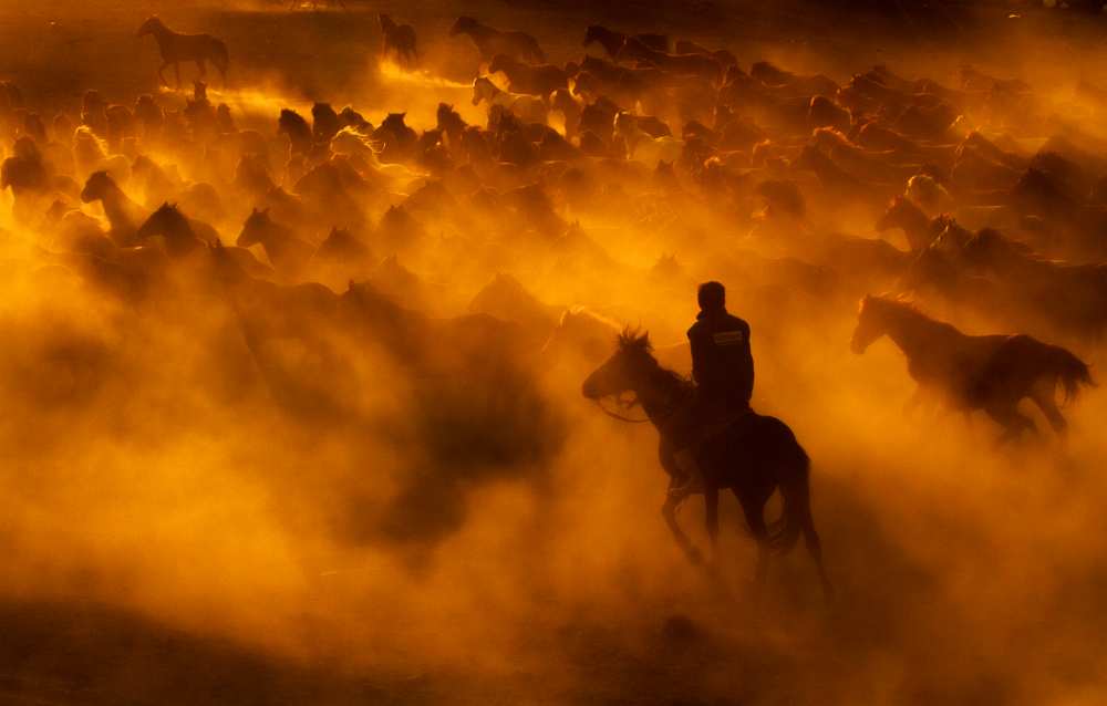 cowboy von feyzullah tunc