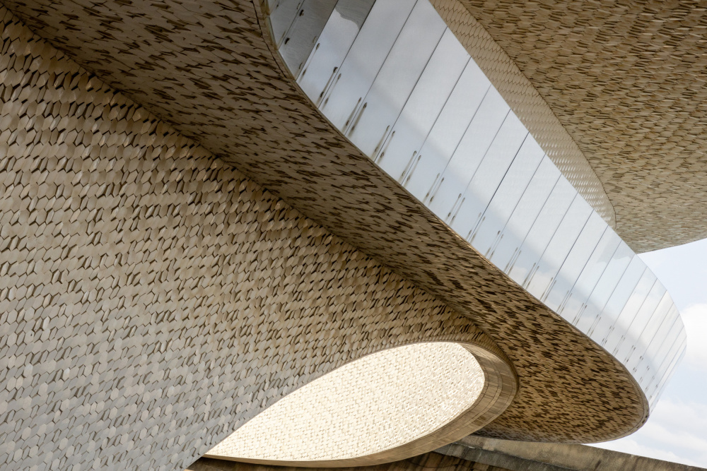 Ribbon bow von Filipe P Neto