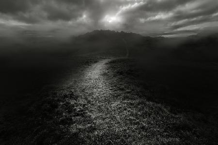 The dark side of the King