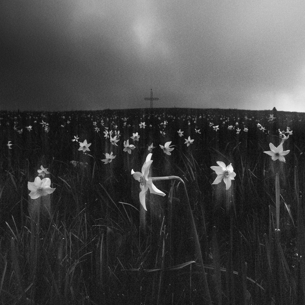 "Purgatorium" von Filippo Manini